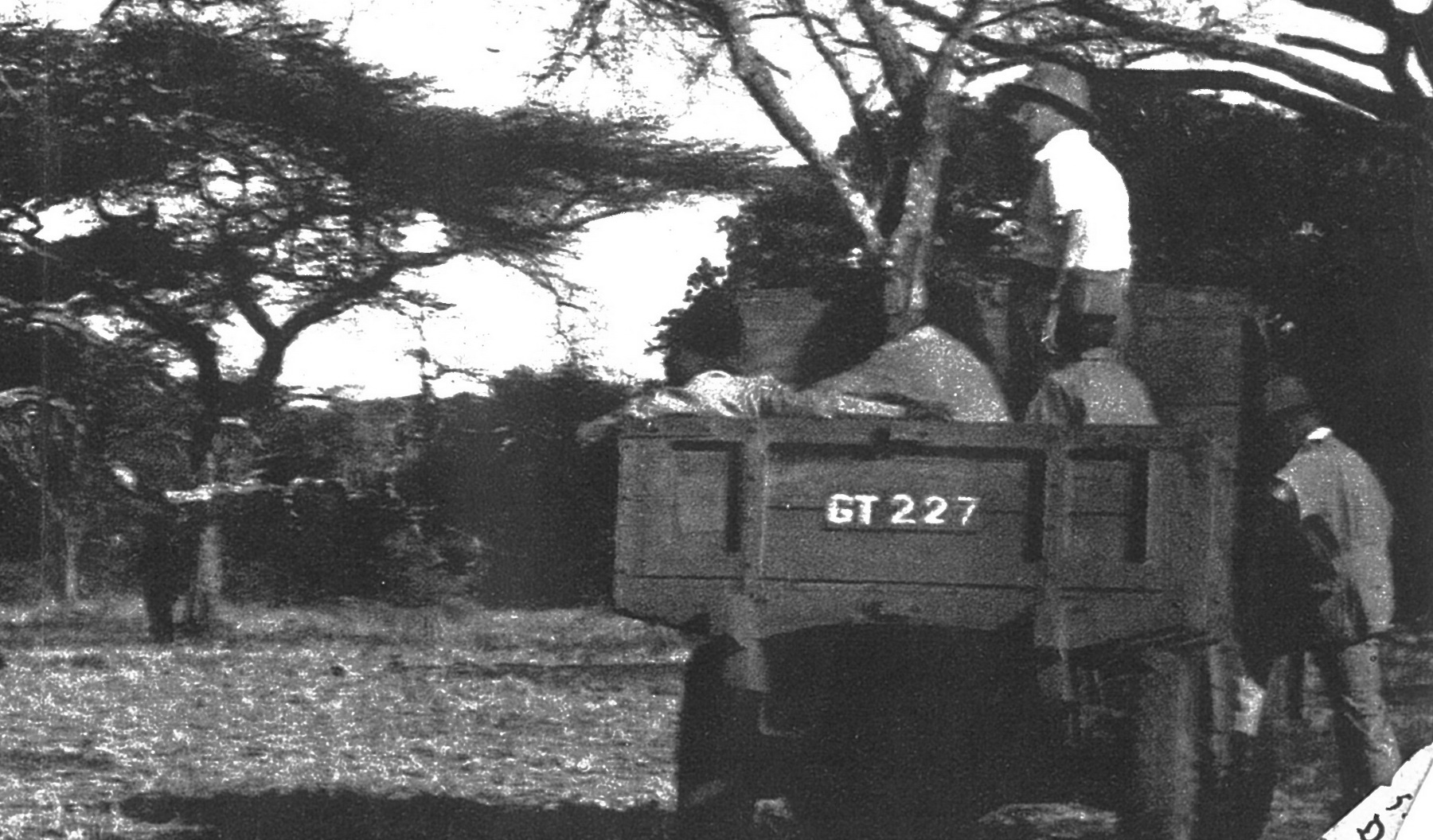 (EAK-gv_50s-gv_tlr_maybe)_GT_227-unknown_code_vbKS