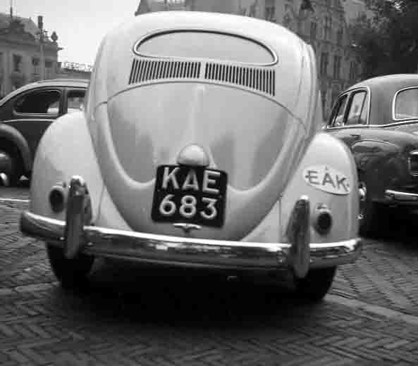 (EAK_50-75m)-Mombasa_54m_KAE_683_Beetle_anon