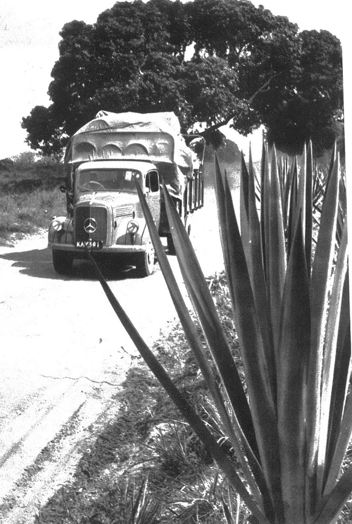 (EAK_50-75m)-Mombasa_KAY_381_M-B_lorry-vbKS