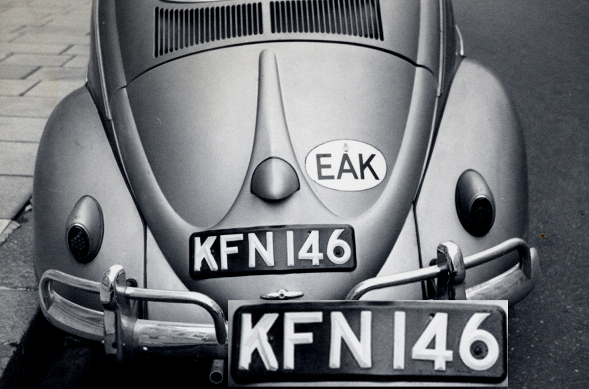 (EAK_50-75m)-Nairobi_57_KFN_146_comp_Beetle-VB