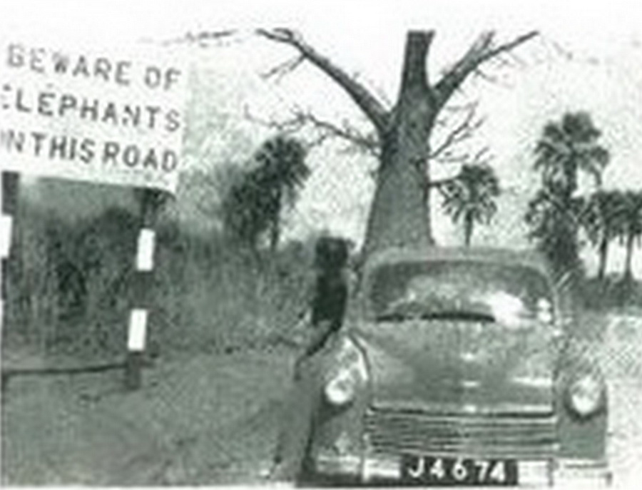 (EAU_14-52,50)-Jinja_J_4674_f_HillmanMinx-vbKS
