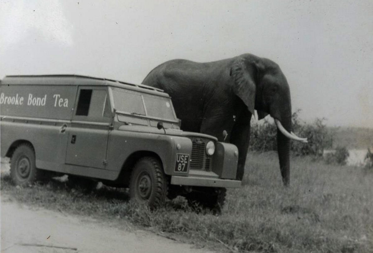 (EAU_52-78)_USE_87_LRover-Michael_Kibwika_Bagenda-HIPU,ABG