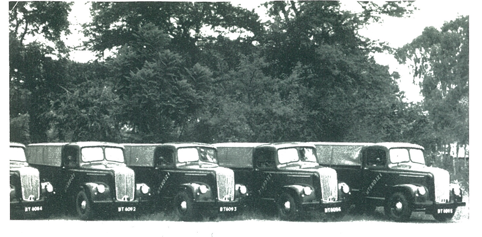 (MW_26-05,50sNP)-Blantyre_BT_6092_Morris_lorries-vbKS
