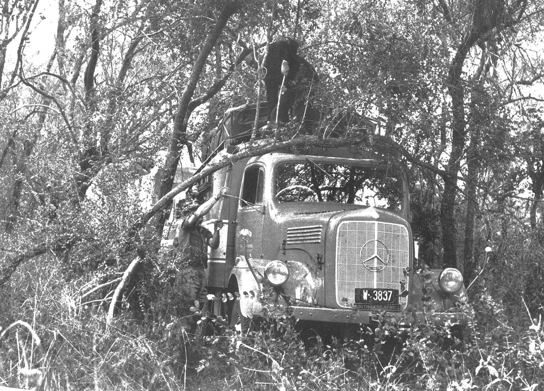 (NAM_20s-68)(SWA)-Windhoek_W_3837_M-B_lorry-vbKS