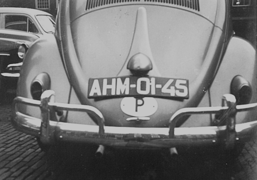 (AN_55-96)(P)-Huambo(or_Huila)_AHM_01-45_Beetle-vbKS