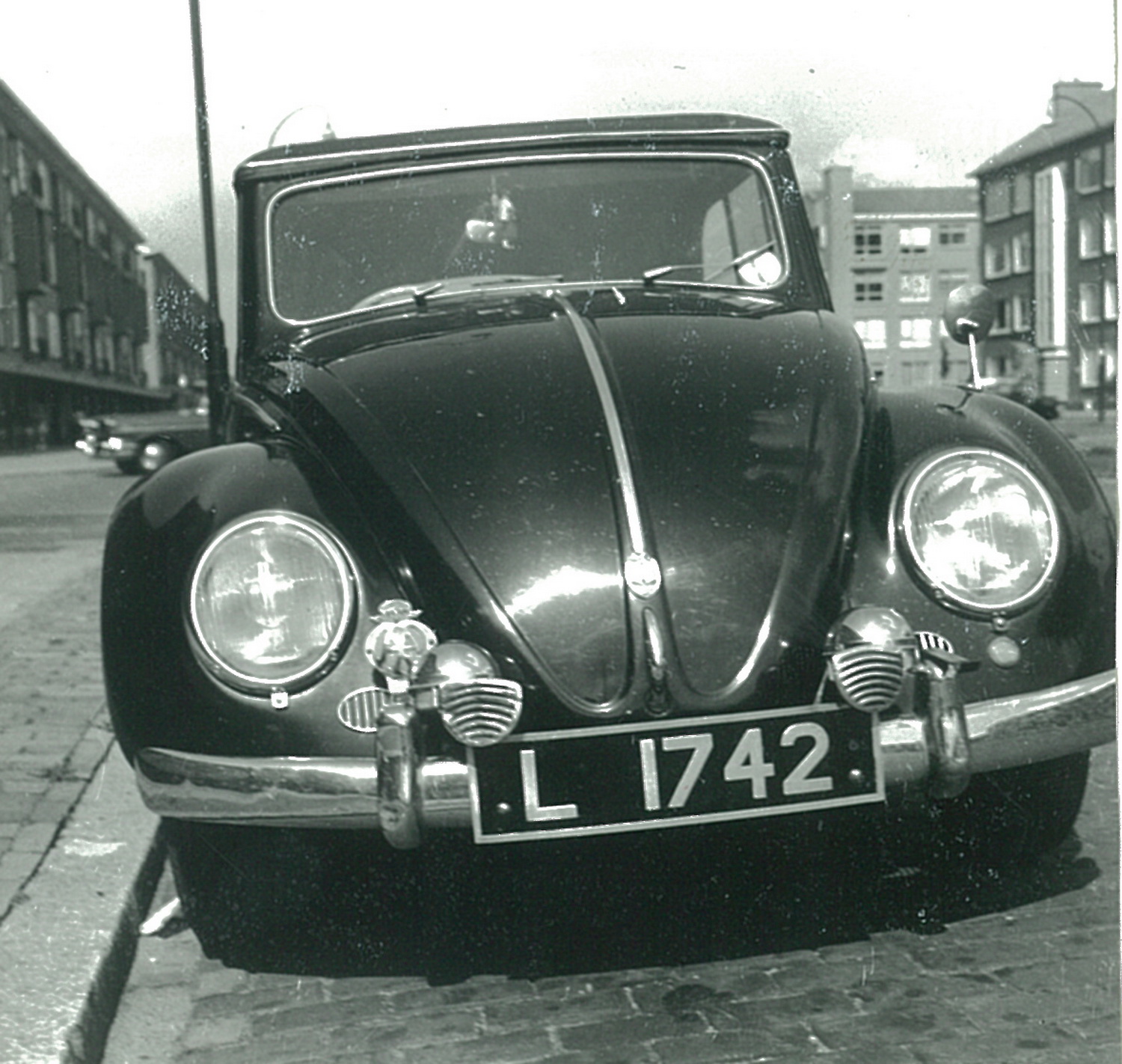 (Z_63-75)(NR)-Livingstone_L_1742_f_Beetle-vbKS
