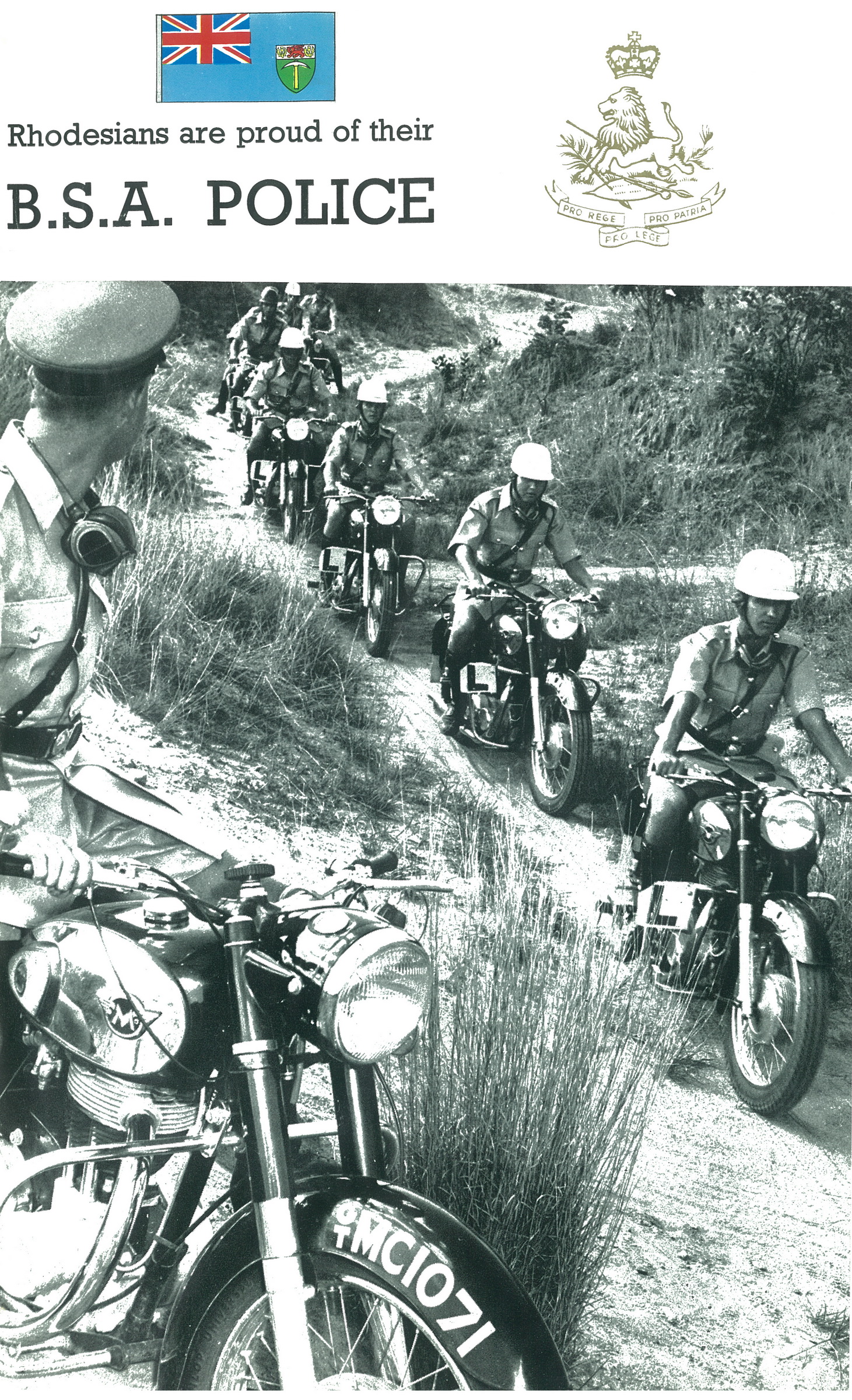 (ZW-gv,pol_28-70)(mc)_GT_MC_1071_(w-b)_BSA_mc-vbKS