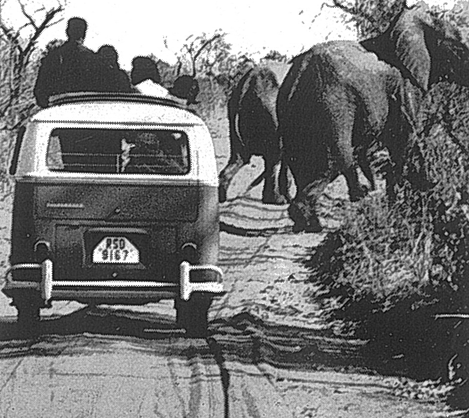 (ZW-psv,bus_60-71,60s)(RSR)-Salisbury_RSD_9167_(r-w)_VW_Microbus-vbKS