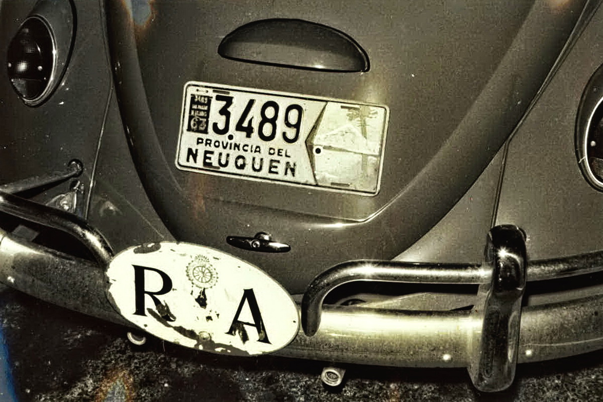 (RA_40-70,63)-Neuquen,Rio_Tercerorov-_3489_(d-l)_Beetle-vbRA34KS