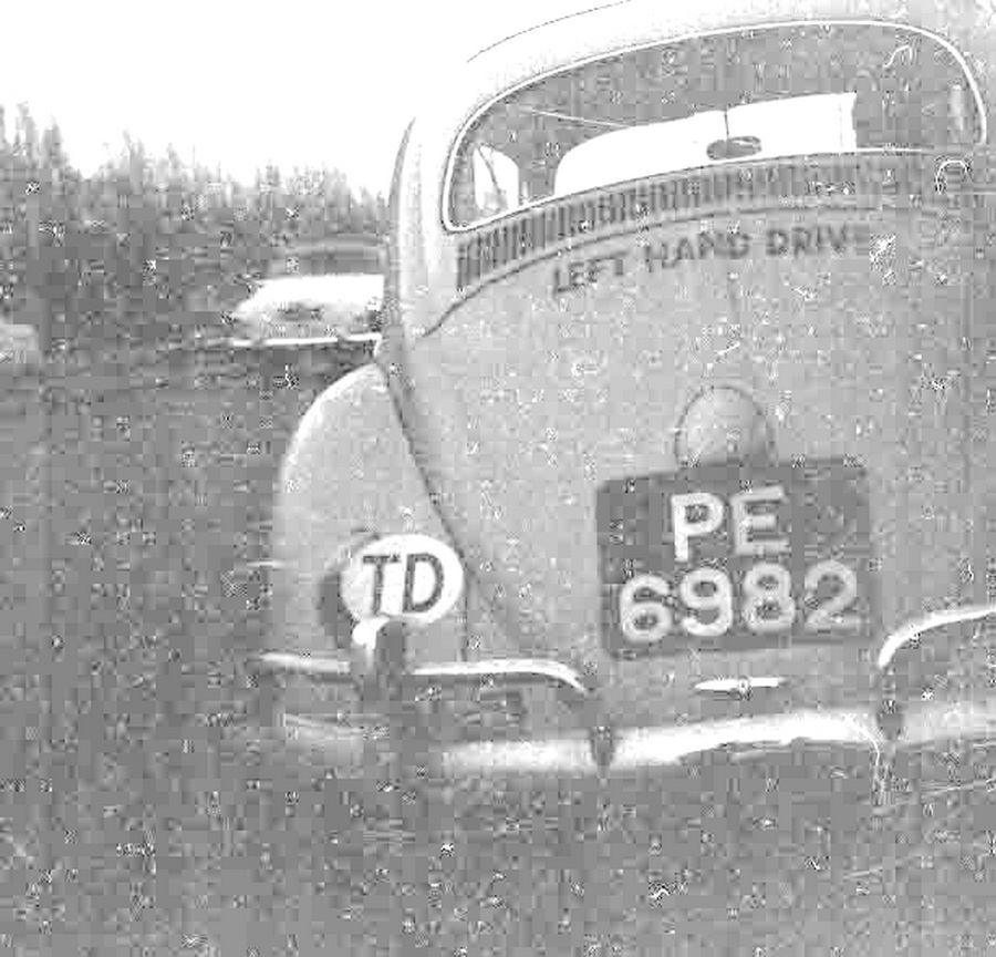 (TT_50-78,61_TD)_PE_6982_(TD_oval)_Beetle-jfKS