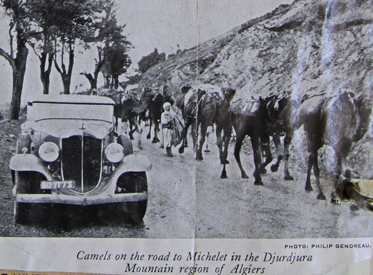 (F-timp)_511_TT_7S_in_Algeria_UScar-vbF153KS