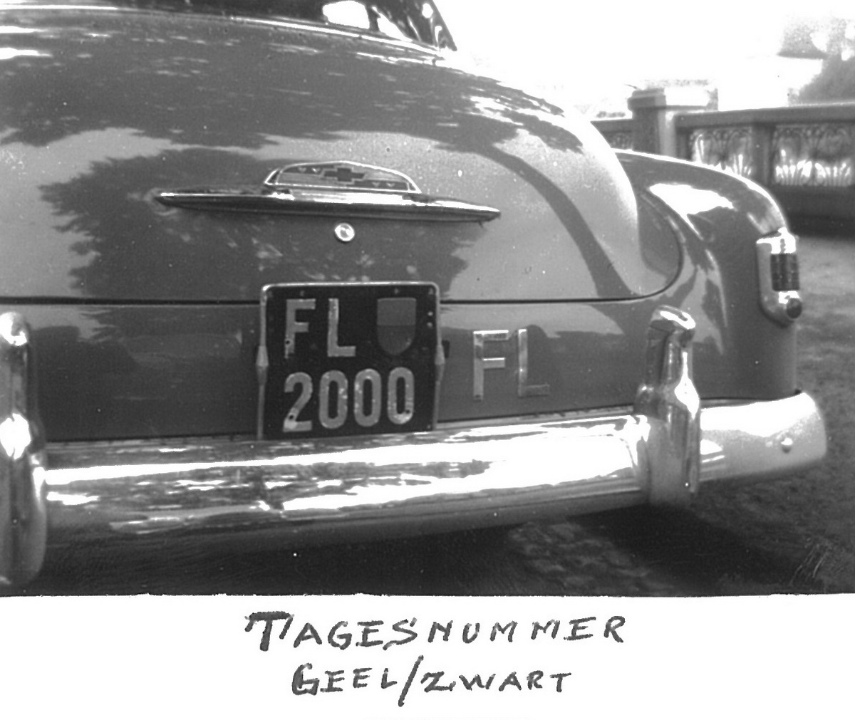 (FL_20-57)(1-4_day_temp)_FL_2000_(y-b_rarity)_UScar-vbKS