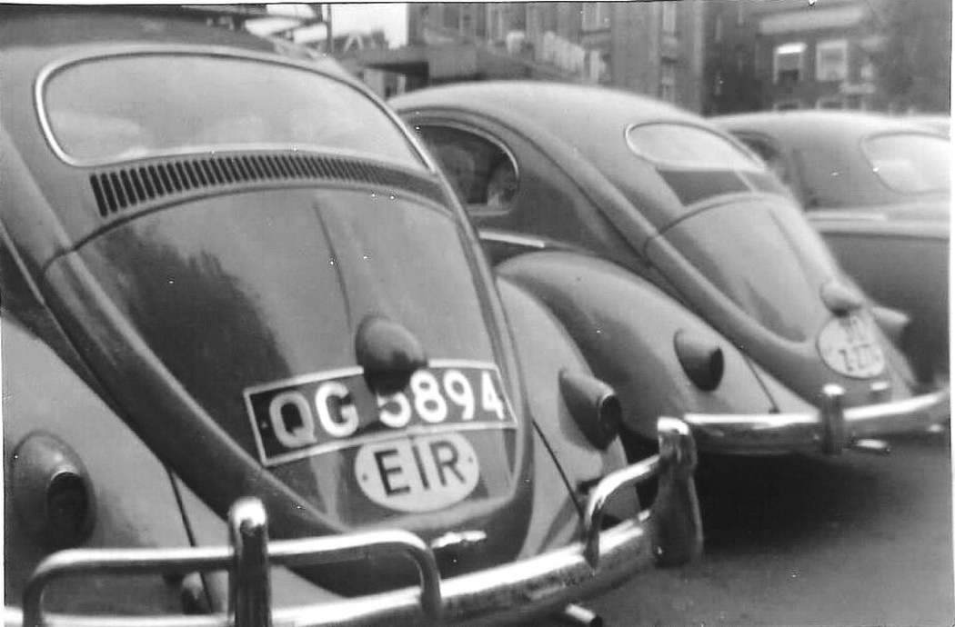 (GB-timp_56-57,57_AA)_QG_5894_(EIR_oval)_Beetle-vbKS