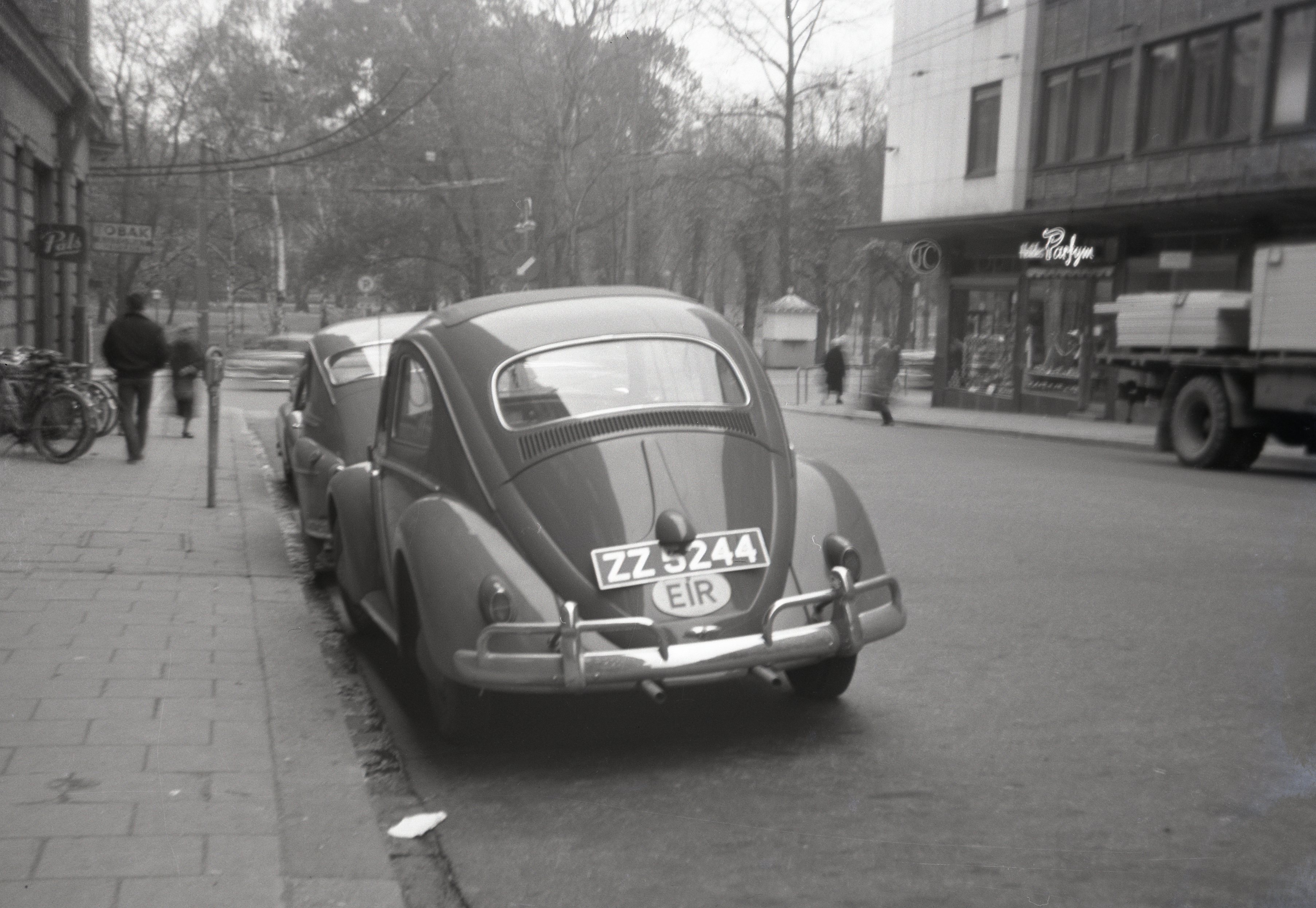 (IRL-exp_25-83,60s)_ZZ_5244_r_(EIR_oval)_Beetle-BL