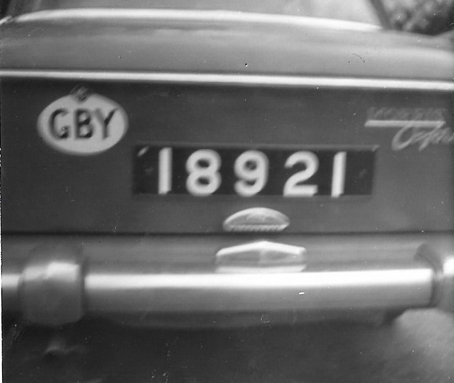 (M_04-79,59c)(GBY)_18921_(GBY_oval)_Mor-Oxford_Farina-vbGBY5bKS