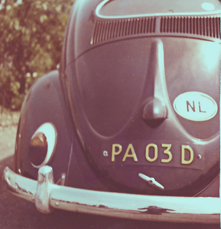 (NL)(DfNL)_PA_03_D_Beetle-vbKSvbKS.jpg