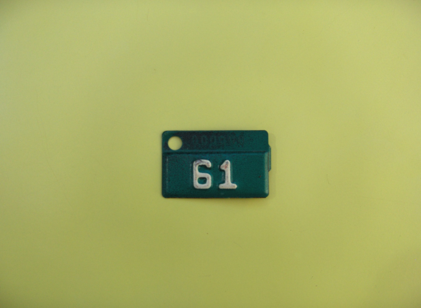 ND_TAB_SAMPLE_1960-1961_ISSUED_TO_TYPE2_1960-1961_SAMPLE