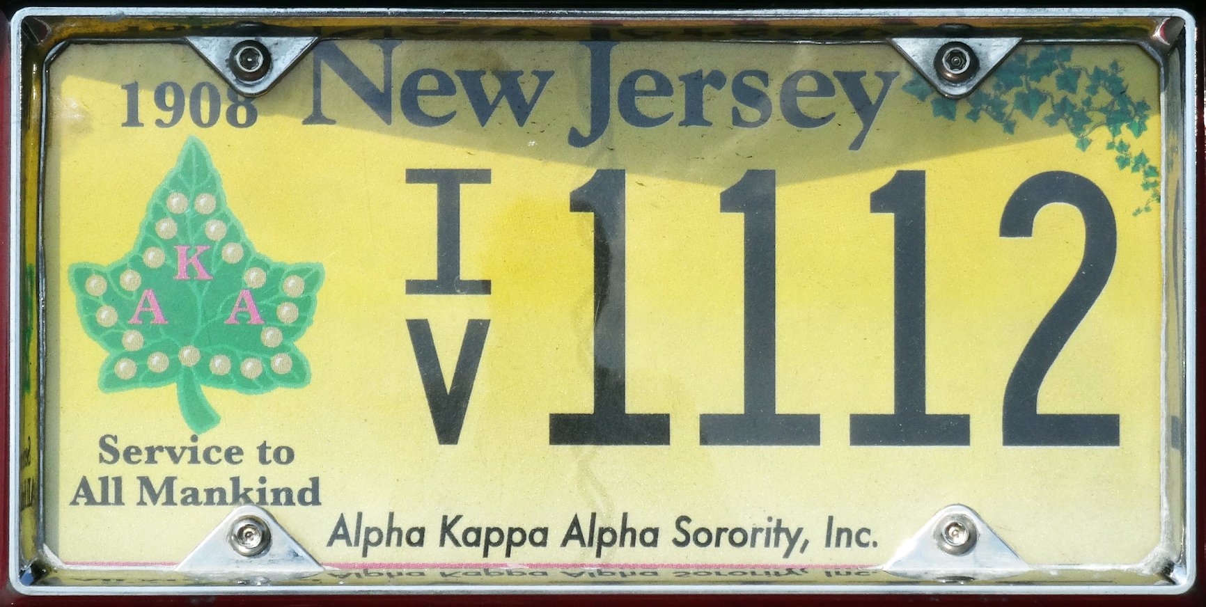 NJ-2017-alpha-IV1112.r-DW-12.7.2018-160172.jpg